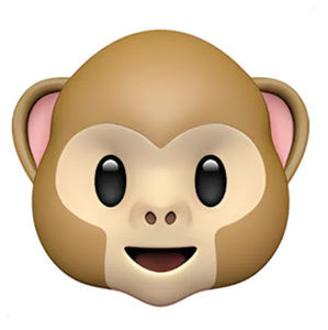 Meet your Posher, Dayne